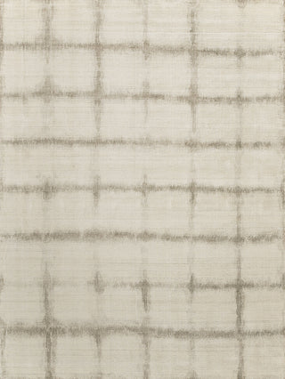 Beige transitional area rug