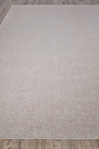 Taylor Rug